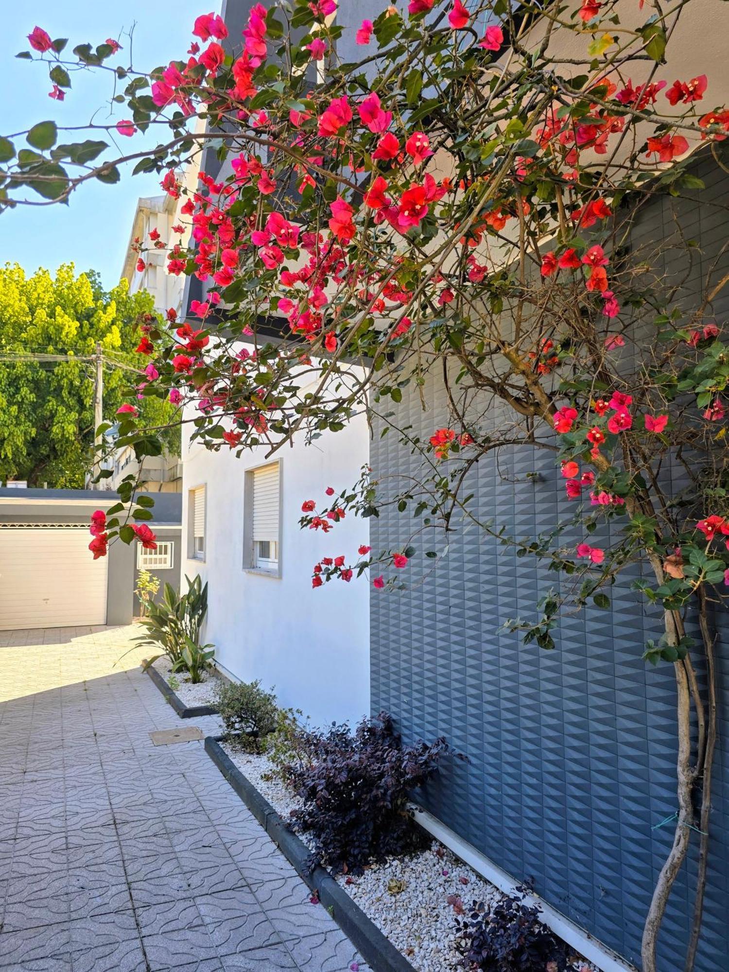 Casa Da Ana Villa Braga Exterior photo